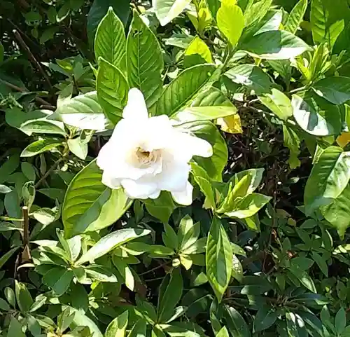 比佐豆知神社(三重県)