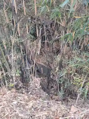 子の権現(栃木県)