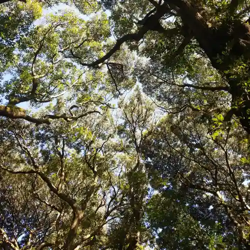 沼尾神社の自然