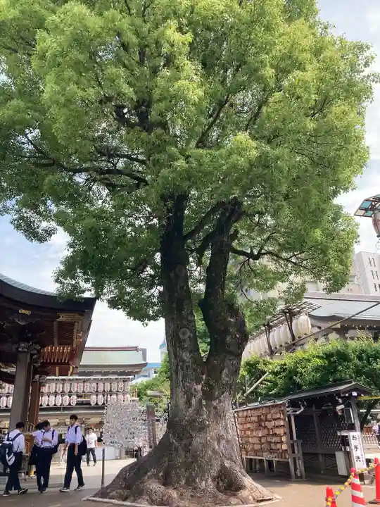 湯島天満宮(東京都)
