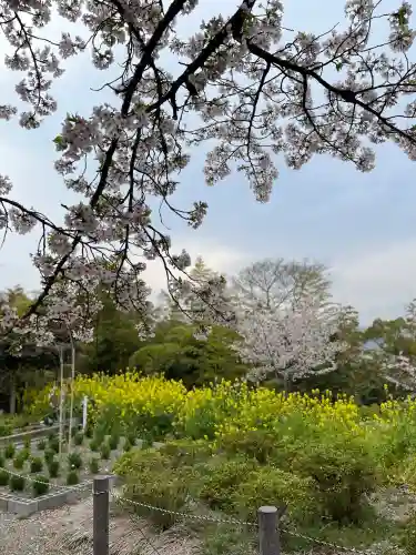 石清水八幡宮(京都府)