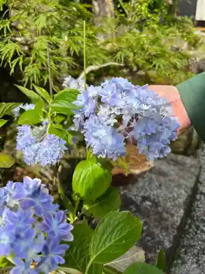 巖島神社(鹿児島県)