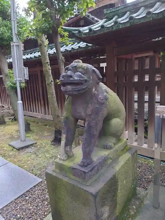 牛嶋神社の狛犬
