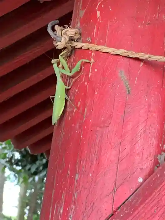 胸形神社(栃木県)