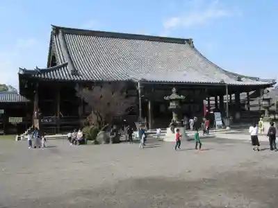 大通寺(長浜御坊)の本殿・本堂