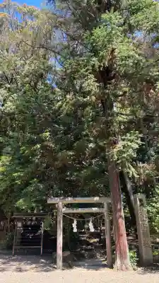 水度神社の{uncategorized: "未分類", other: "その他", undefined: "問題あり", building: "その他建物", grave: "お墓", sacred_gate: "鳥居", guardian: "狛犬", statue: "像", buddha: "仏像", history: "歴史", nature: "自然", garden: "庭園", animal: "動物", pagoda: "塔", temizu: "手水舎", mountain_gate: "山門・神門", sanctuary: "本殿・本堂", subordinate: "末社・摂社", art: "芸術", scenery: "景色", jizo: "地蔵", ema: "絵馬", goshuin: "御朱印", omikuji: "おみくじ", items: "授与品その他", amulet: "お守り", goshuincho: "御朱印帳", eats: "食事", festival: "お祭り", votive_dance: "神楽", shichigosan: "七五三参", wedding: "結婚式", experience: "体験その他", initially: "初詣", around: "周辺", anti_infection: "感染症対策"}
