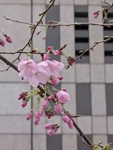 熊野神社(東京都)