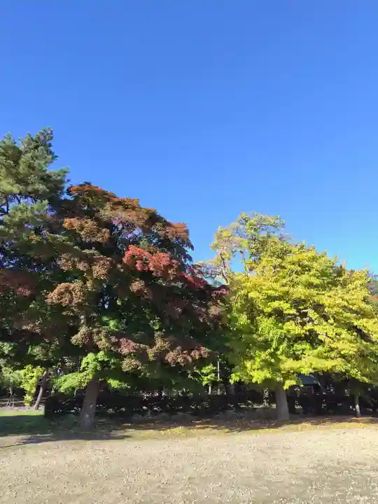 厚別神社の自然