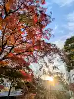 法輪寺(東京都)