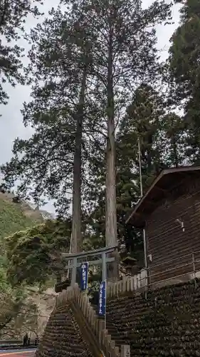 九頭龍神社の鳥居