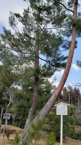 鹿苑寺（金閣寺）の庭園