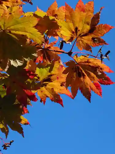 相馬神社(北海道)