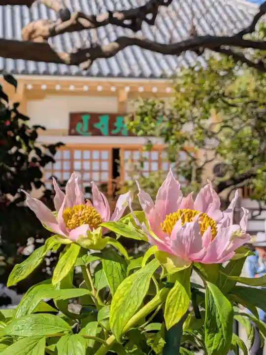 禅定院(東京都)