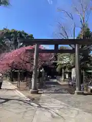 荏原神社の鳥居
