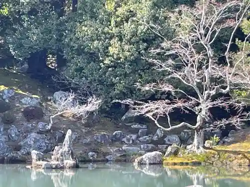 天龍寺(京都府)