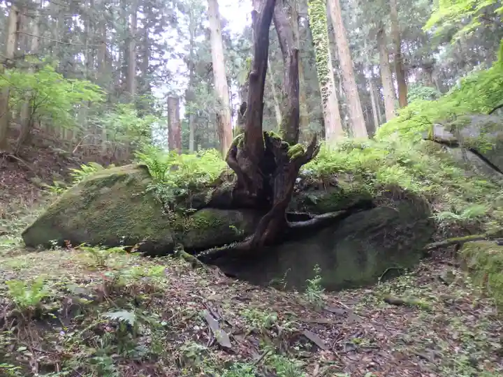 名草厳島神社の自然