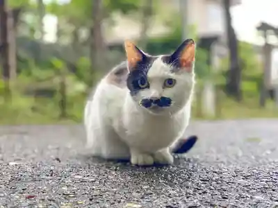 尻岸内八幡神社(北海道)