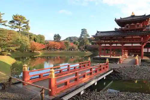 平等院の庭園