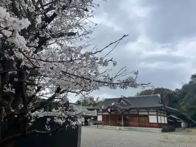 聖神社(大阪府)