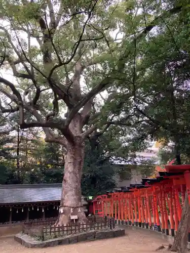 大市八幡神社(兵庫県)
