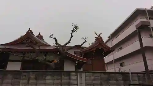 みなと八幡神社の本殿・本堂