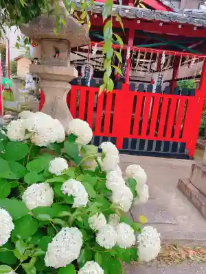 金札宮(京都府)