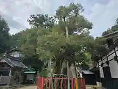 山王宮日吉神社(京都府)