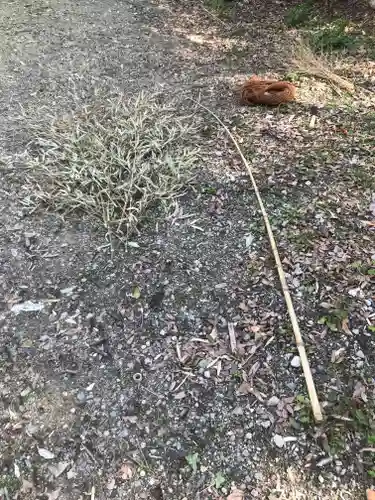 杭全神社(大阪府)