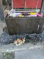 前玉神社(埼玉県)