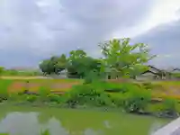 神明社(楠町)の自然