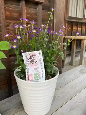 妙蓮寺(神奈川県)