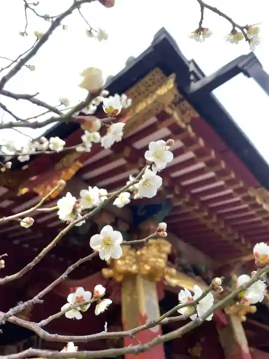 根津神社(東京都)