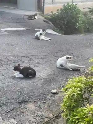 浄瑠璃寺の動物