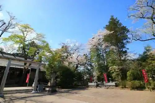 櫻岡大神宮の建物その他