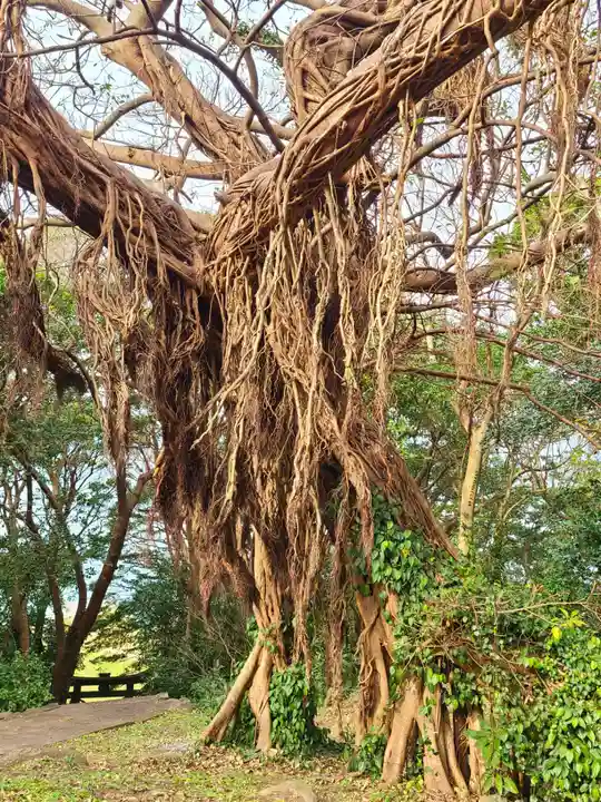 住吉神社(長崎県)