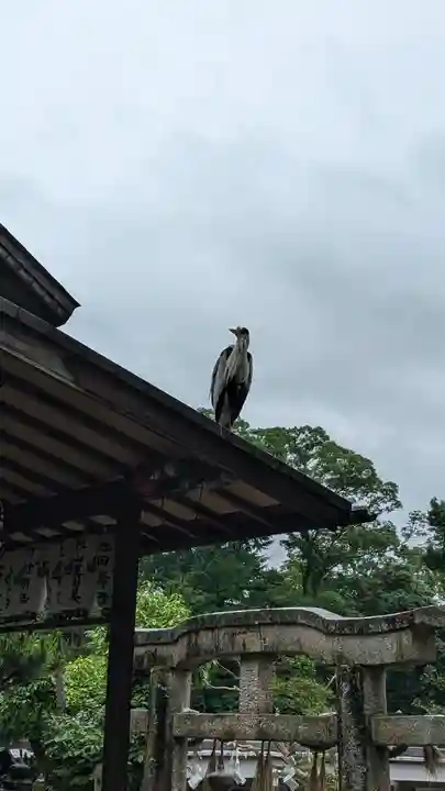 嚴島神社 (京都御苑)(京都府)