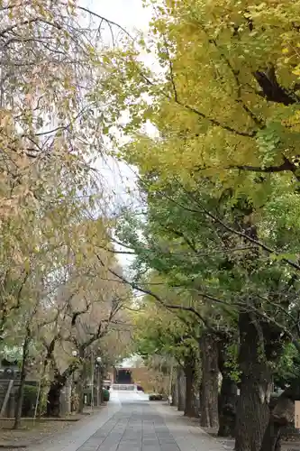 吉祥寺(東京都)