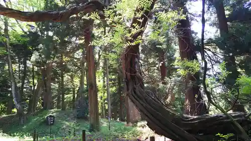 白河神社の自然