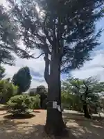 寛永寺(根本中堂)(東京都)