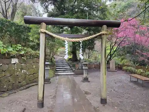 猫神社(鹿児島県)