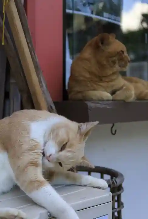 南法華寺(壷阪寺)(奈良県)