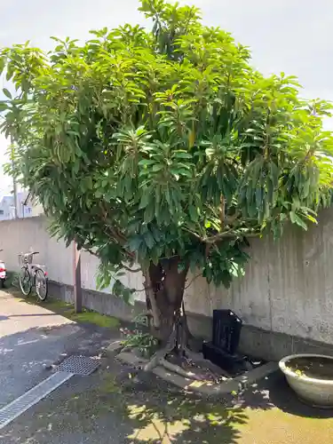 大経寺(神奈川県)