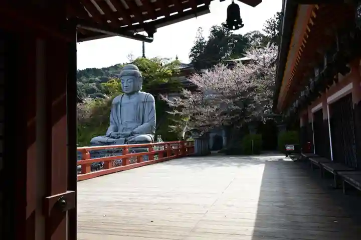 南法華寺(壷阪寺)(奈良県)