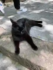 唐澤山神社の動物