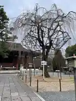 大報恩寺(千本釈迦堂)(京都府)