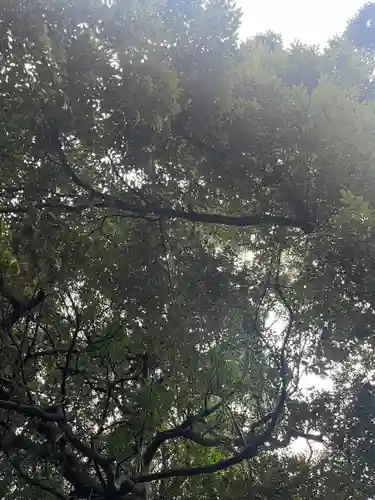 東沼神社(埼玉県)