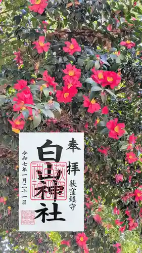荻窪白山神社の御朱印