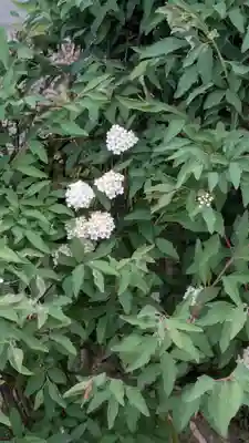 専琳寺(京都府)