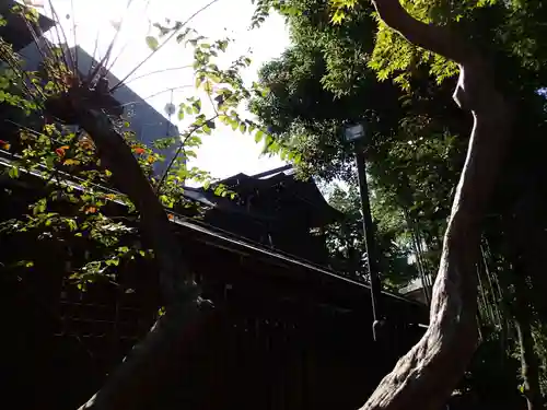 鳩森八幡神社のその他建物