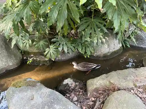 上杉神社(山形県)